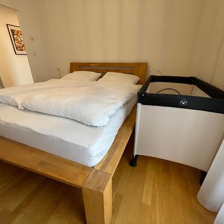 Penthouse Wohnung Am Radweg Mit Dachterasse Waidhofen an der Thaya Eksteriør billede