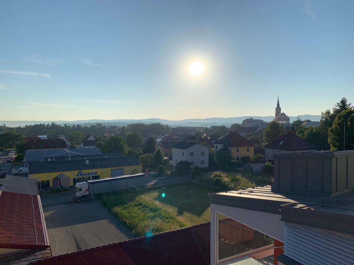 Penthouse Wohnung Am Radweg Mit Dachterasse Waidhofen an der Thaya Eksteriør billede